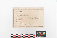 Etiketten zu Bronzering (NHMW-PRAE-023884)